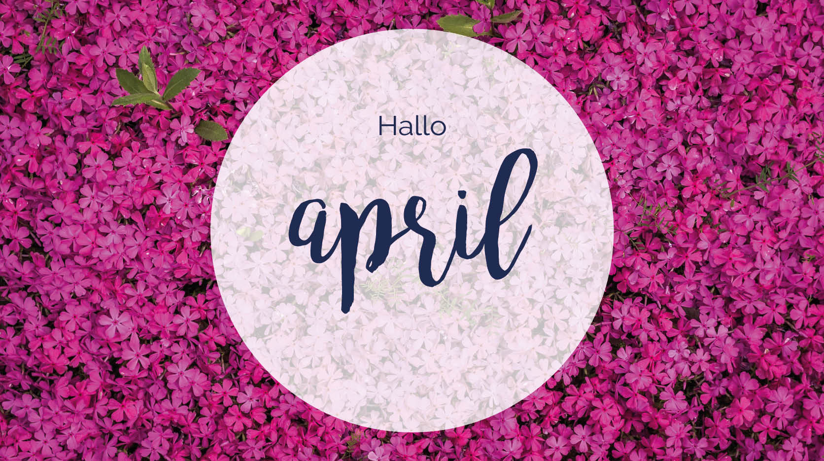 Hallo April