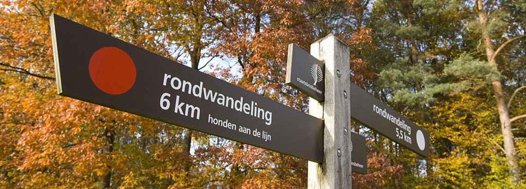 Wandelen door Gelderland
