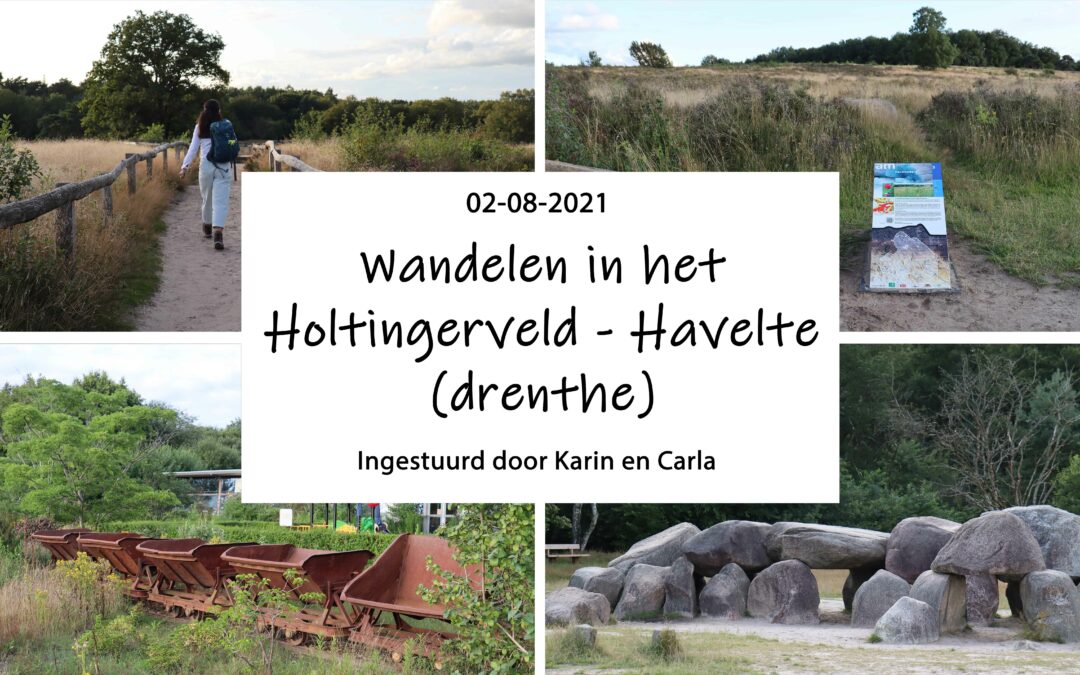 Wandelen in het Holtingerveld – Havelte