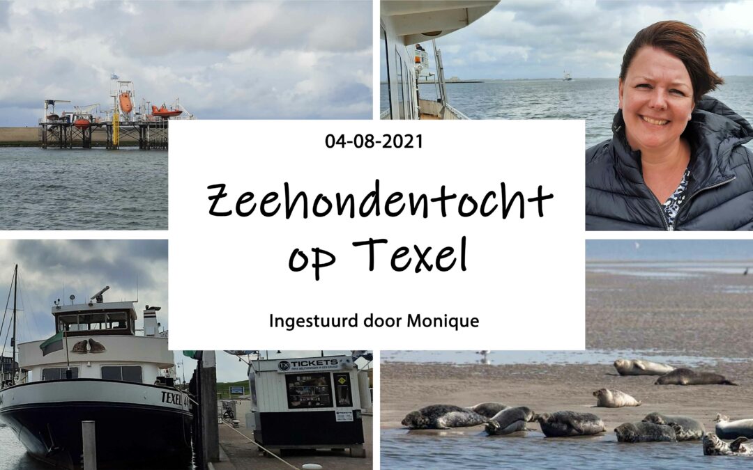 Zeehondentocht op Texel