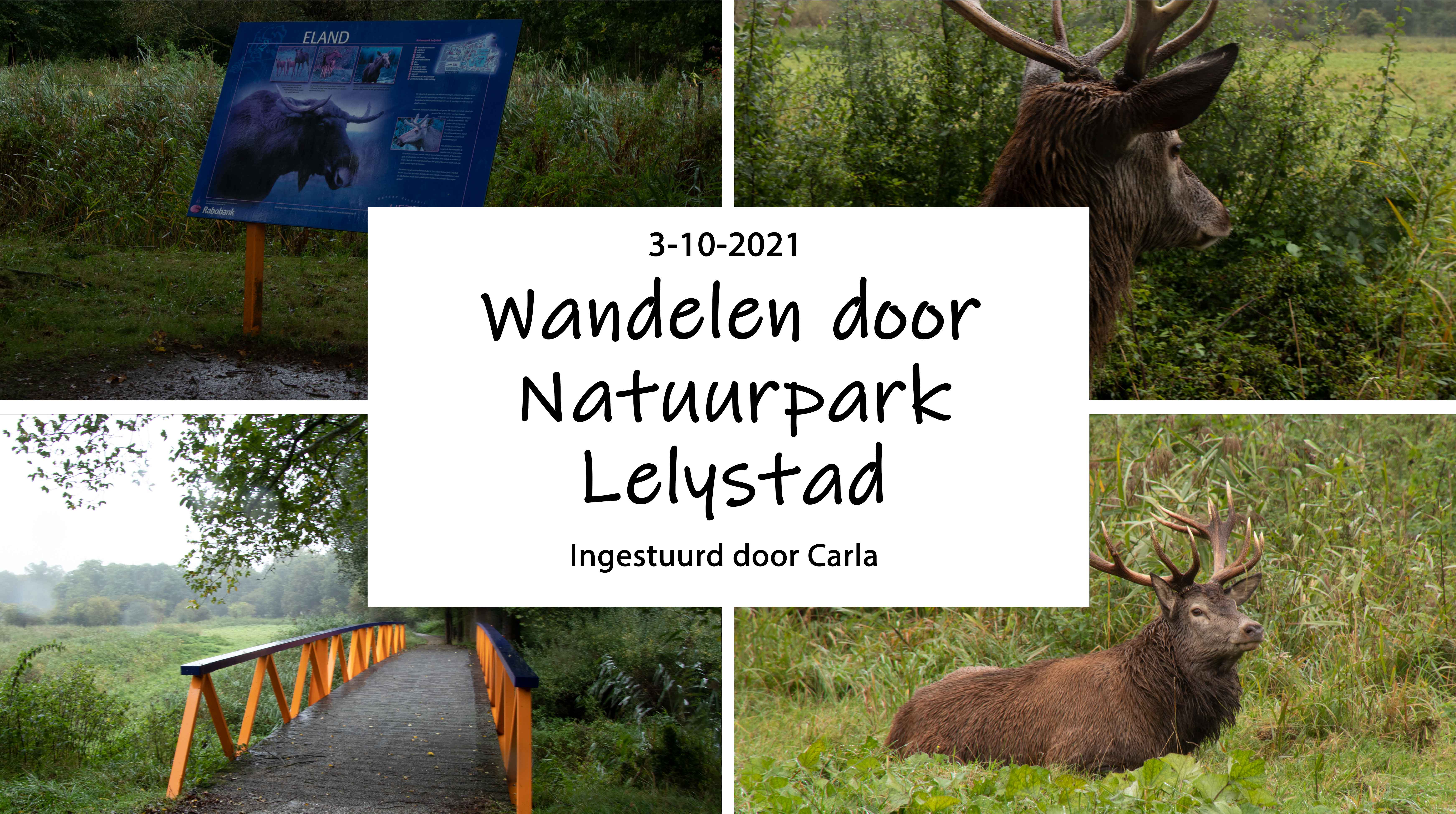Wandelen door Natuurpark Lelystad